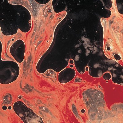 Maksim98486783's profile picture. 