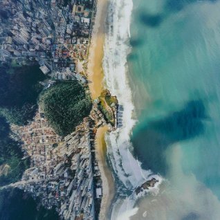 NFTchamp0x's profile picture. I would, because coding is pure fun!