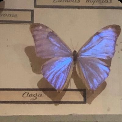 alfyfy_w22505's profile picture. مااحب اتصور مااحب اتكلم كثير👍🏻🫠