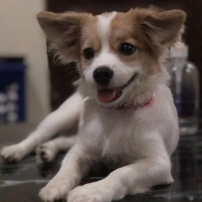 Dushka__turton's profile picture. Not ur regular human. Animal lover. God pikin, Crypto, music, travel, WomanUFC enthusiast, Avid cruiser and always up for a good conversation. Let's vibe 2geda.