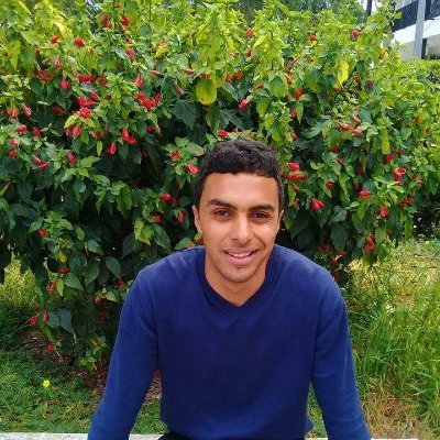 chokrikhlifi's profile picture. #Communication & #WebDesign Student @  #ISAMM