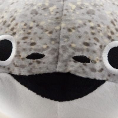 KenTaka28824154's profile picture. たんなん夢レディオ(丹南FM)映画バラエティ番組「まつうらカントクのセンチメートルムービー」パーソナリティー
福井在住、京阪神の映画館を行き来してます
観るから飛び越えて、映画宣伝のお手伝いや劇場イベントの企画やってます
2020年から東京国際映画祭へ取材参加してます