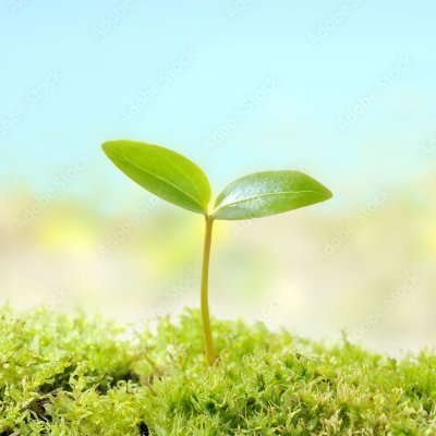 _natsuaki_'s profile picture. 