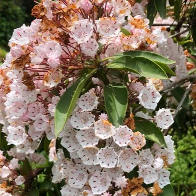 uraMonk's profile picture. 僧侶やってるけど言いたいこと言わせてくれ。僧侶だけど回復魔法は使えません。専門:情報科学/趣味:物理•数学/課題:「倫理の本質」「宗教と倫理」