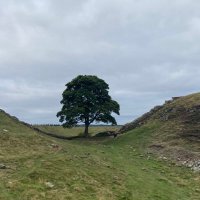 Clare Leeds đź’™ (@leedsclare) 's Twitter Profile