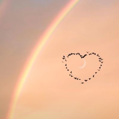 harshalpatel_30's profile picture. 