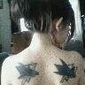Sharksgrl408's profile picture. That chick with the Sharks tattoos🦈 #RaiderNation ☠️🏈☠️Proud Mom🖤Bun Mom🐰I love horror movies😈🔪Gore, zombies & skulls are my thing!