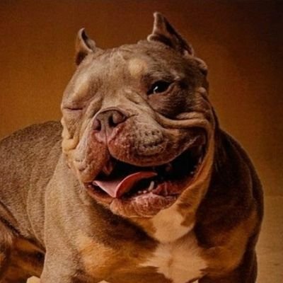 ctownvin Profile
