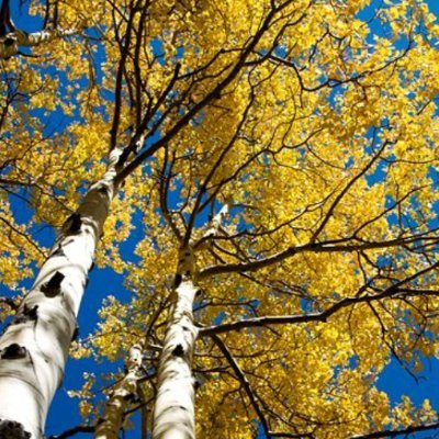 Yongil_Gim's profile picture. General Manager