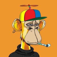 Coquillette (@crypto_pluuto) 's Twitter Profile