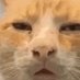 yes (@robie63827388) Twitter profile photo