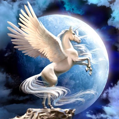 andr_andren's profile picture. 