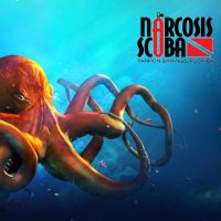 #Narcosis Scuba(@NarcosisScubaCe) 's Twitter Profile Photo