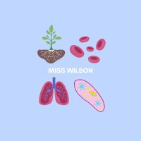 Miss Wilson | Biology (@misswilson_bio) 's Twitter Profile Photo