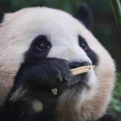 벨드의 축복은 끝이 없도다
