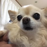 TWWN (@otiwan2) 's Twitter Profile
