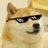 dogesh_bhai