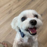 Wonyoung Choe (@chem571) 's Twitter Profile