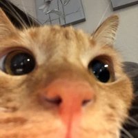rhys (@rhyvva) 's Twitter Profile Photo rhys (@rhyvva) 's Twitter Profile Photo