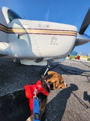 Volunteer-based dog and animal rescue flights! We get injured, sick and abandoned animals to medical care and new homes across Canada 🇨🇦✈️🐕😻