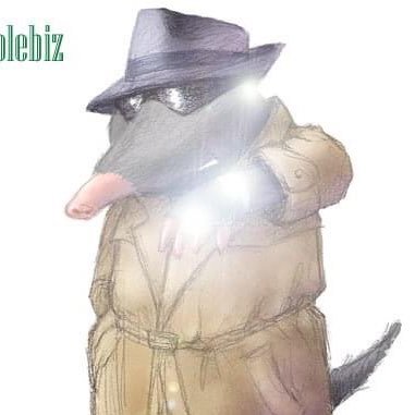 MolebizPromo Profile Picture