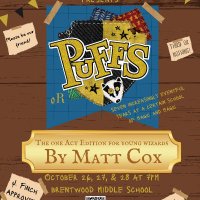 Brentwood Middle Viking Theatre (@wcsbmstheater) 's Twitter Profile