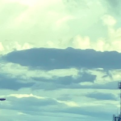 pogyasunny's profile picture. 𓊆 01 ￤ 欲しいものと購入品𓊇