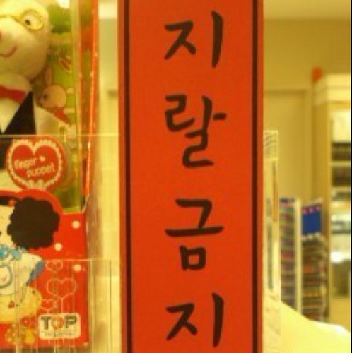 bokeda89's profile picture. 