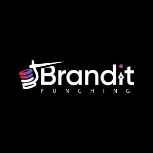 branditpunching's profile picture. Brandit Punching offers embroidery digitizing, vector art, logo design & custom patches with quality, speed & precision.