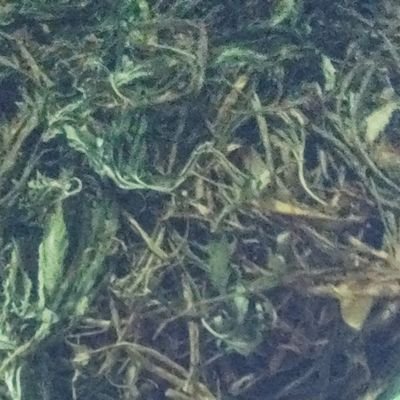 patunwan102's profile picture. .