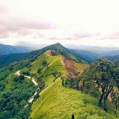 DymzLyien71395's profile picture. Sharing thing with others make me pleasure