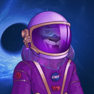 KosmObserver's profile picture. Observing the cosmos w Observer Family | Hosting X Spaces  @VairagyaSadhana 1600 UTC Sun | @WildcatAlliance member Cosmeows