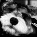 想要还好-(海螺固体R) (@x210347) Twitter profile photo 想要还好-(海螺固体R) (@x210347) Twitter profile photo