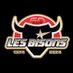 HCNM93-LES BISONS (@hockey_bisons) Twitter profile photo HCNM93-LES BISONS (@hockey_bisons) Twitter profile photo
