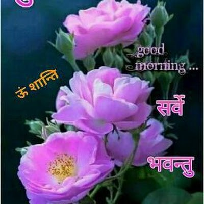 k_jaiswal62222's profile picture. 