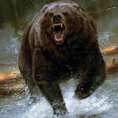 IgorAnd67121460's profile picture. 