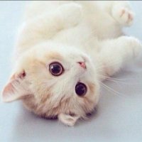 Rosem琳 (@rosem08323281) 's Twitter Profile Photo