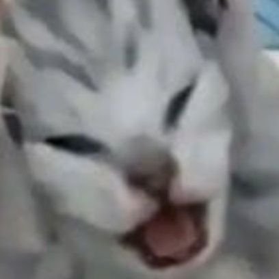 Skrkry's profile picture. Off dulu bentar rehat hati, pikiran, tenaga. Mari kembali saat suasana menjadi cukup lebih baik...✨️