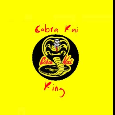 I’m the Cobra Kai King. My favourite YouTuber is The Cobra Kai Kid. I wanna be a successful YouTuber just like him. I hope I get to do a zoom call with him 🙏