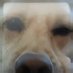 Dillon (@dillonthefan) Twitter profile photo Dillon (@dillonthefan) Twitter profile photo