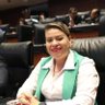 Marivelvillase's profile picture. Méxicana, Maderense, Priísta y Diputada Federal de la LXV Legislatura de la H. Cámara de Diputados.