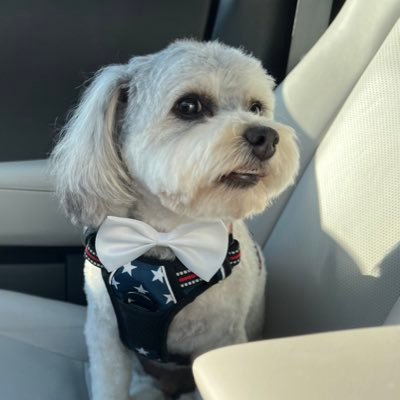 ChristianneF's profile picture. My life is blessed beyond measure b/c of mostly good decisions & God-given common sense. Currently retired but battling a rare C. MAGA/MAHA now & forever.