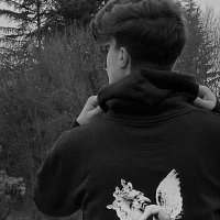 ساجد (@sajjad_hado) Twitter profile photo