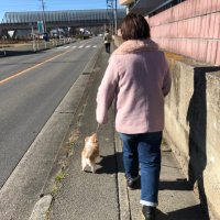 Mariko Bito (@bitomariko) 's Twitter Profile Photo Mariko Bito (@bitomariko) 's Twitter Profile Photo