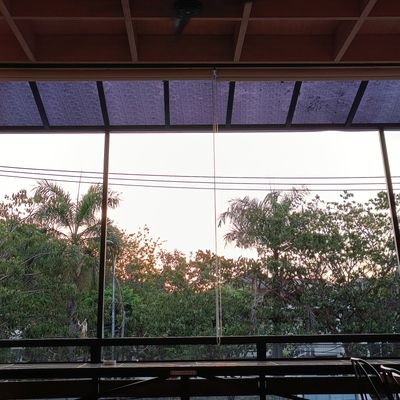 colatosmek's profile picture. 