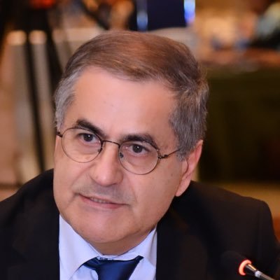 Member of the Lebanese Parliament, former Minister, M.D. and Head of the Lebanese Human Rights Committee