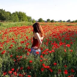 tootoste30351's profile picture. 