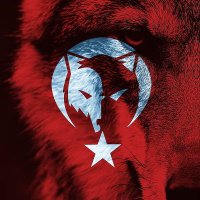 TÜRK 🇹🇷 𐱅𐰇𐰼𐰚(@MKA_Asilkan) 's Twitter Profile Photo