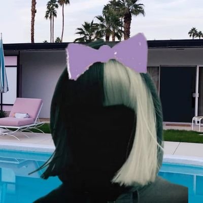Just a penguin in a wig, trying to make it in the human world! 🏳️🌈🇪🇺 P!nk / Adele / Emeli Sandé / RAYE / Loreen / Demi / Miley / Kesha / F&TM / Beyoncé...