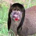 josephine (@josiscute) Twitter profile photo josephine (@josiscute) Twitter profile photo